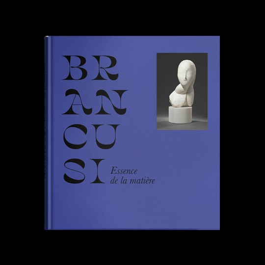 Brancusi: Essence de la matière